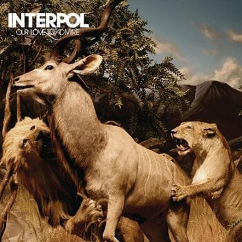 Disco de vinilo Interpol - Our Love To Admire (Reissue) (Limited Edition) (2 LP) - 1