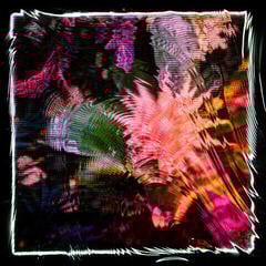 Disco de vinil Camila Fuchs - Kids Talk Sun (Limited Edition) (LP)