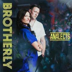 LP ploča Brotherly - Analects (Best Of) (White /Blue Coloured) (2 LP)