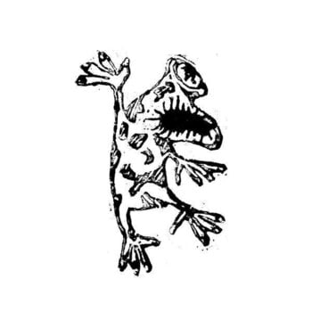 LP ploča Ulrich Troyer - NOK 2020 (Remastered) (LP) - 1