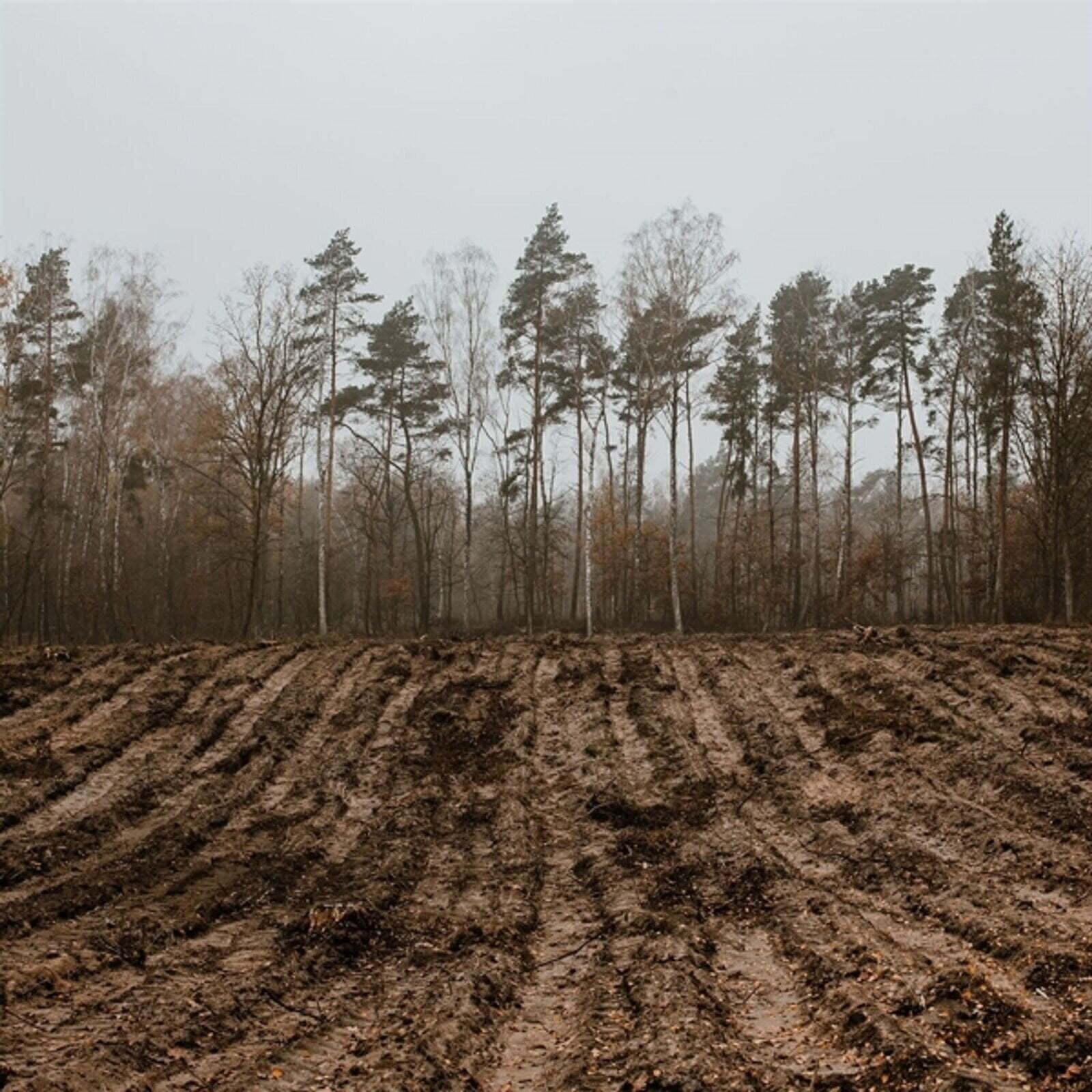 Vinylplate Kaptain Kaizen - Alles Und Nichts (LP)