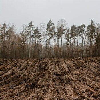 Vinylplate Kaptain Kaizen - Alles Und Nichts (LP) - 1