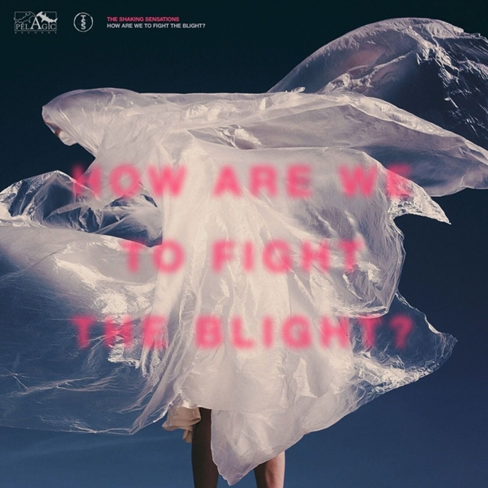 LP ploča The SHAKING SENSATIONS - How Are We To Fight The Blight? (Limited Edition) (2 LP)