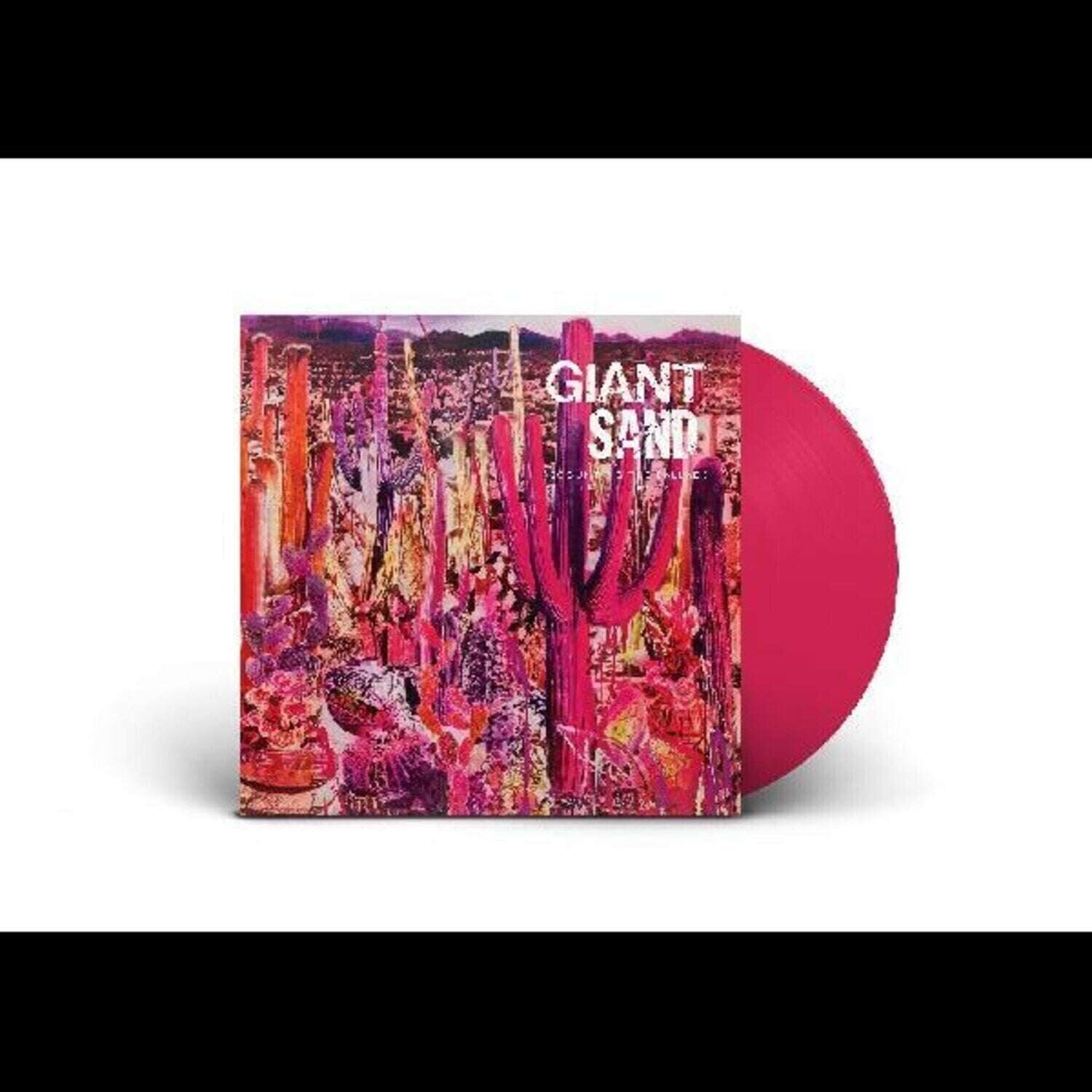 LP deska Giant Sand - Recounting The Ballads Of Thin Line Men (Limited Edition) (Pink Coloured) (LP)