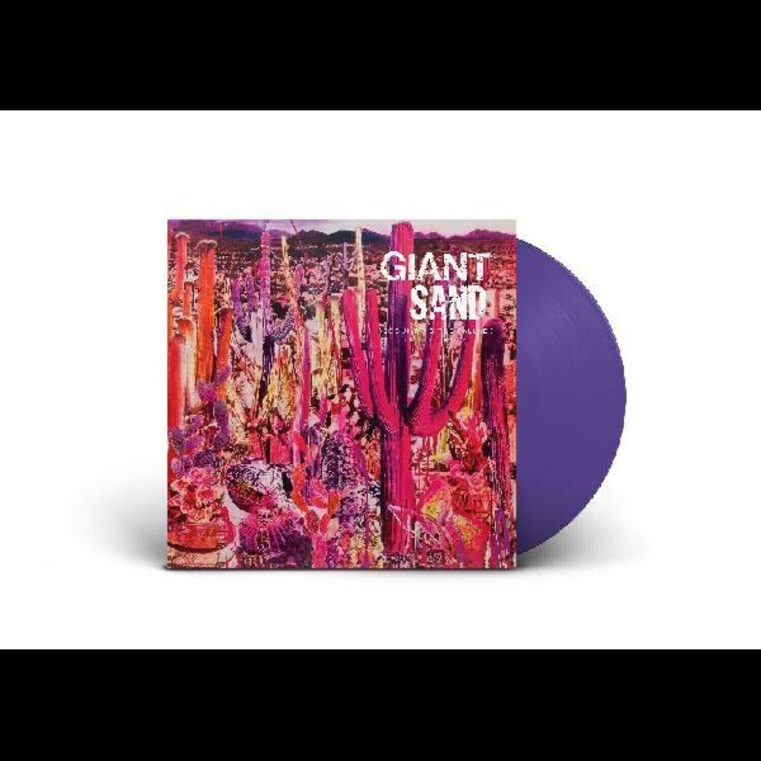 LP deska Giant Sand - Recounting The Ballads Of Thin Line Men (Limited Edition) (Purple Coloured) (LP)