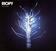 Disque vinyle Riopy - Tree Of Light (LP)