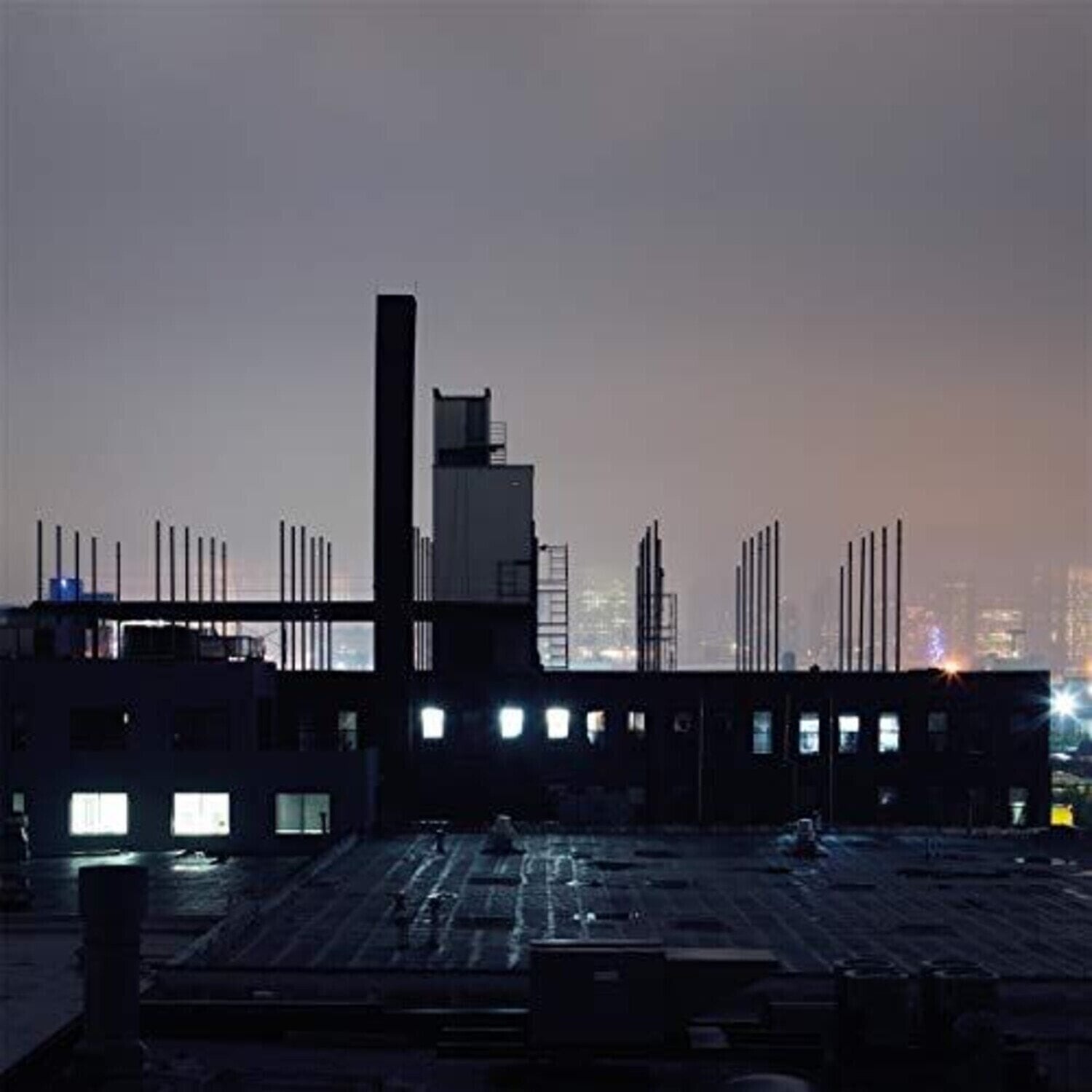 LP ploča Remo Seeland - Hollow Body (LP)