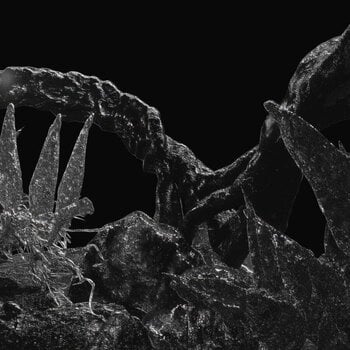 Disque vinyle Redon - Phantom Easy (LP) - 1