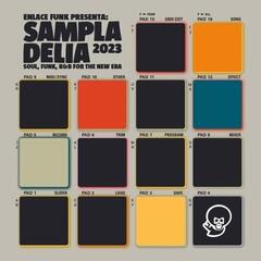 Vinyl Record Various Artists - Sampladelia 2023 (LP)