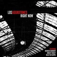 LP deska Los Aggrotones - Right Now (LP)