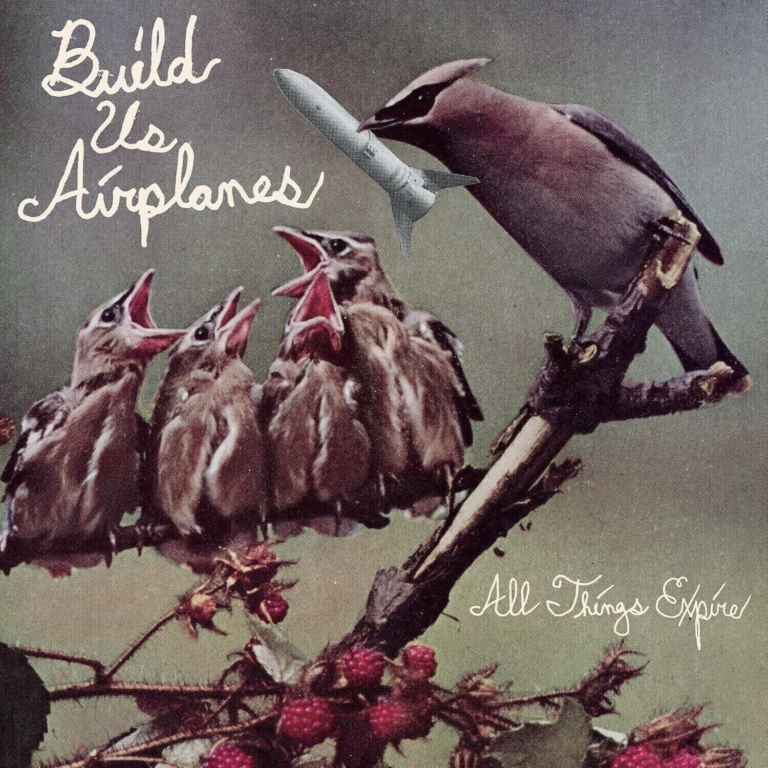 Disque vinyle Build Us Airplanes - All things Expire (LP)