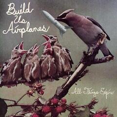 Vinyl Record Build Us Airplanes - All things Expire (LP)