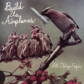 Disque vinyle Build Us Airplanes - All things Expire (LP) - 1