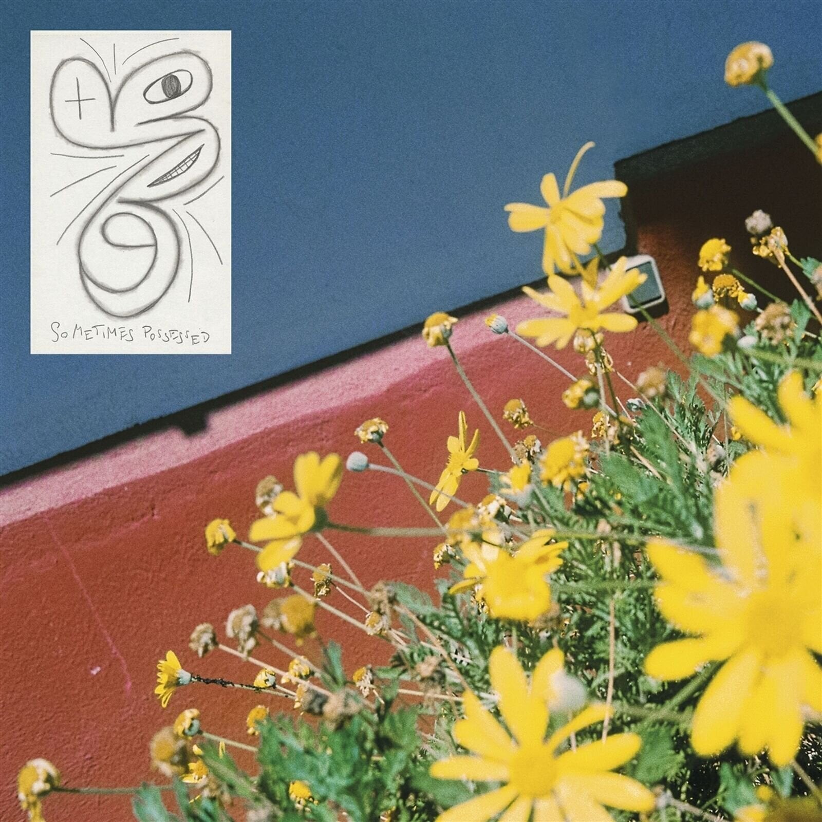 Vinylplate Laundromat Chicks - Sometimes Possessed (LP)