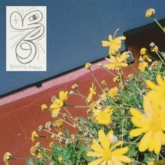 Vinylplate Laundromat Chicks - Sometimes Possessed (LP)