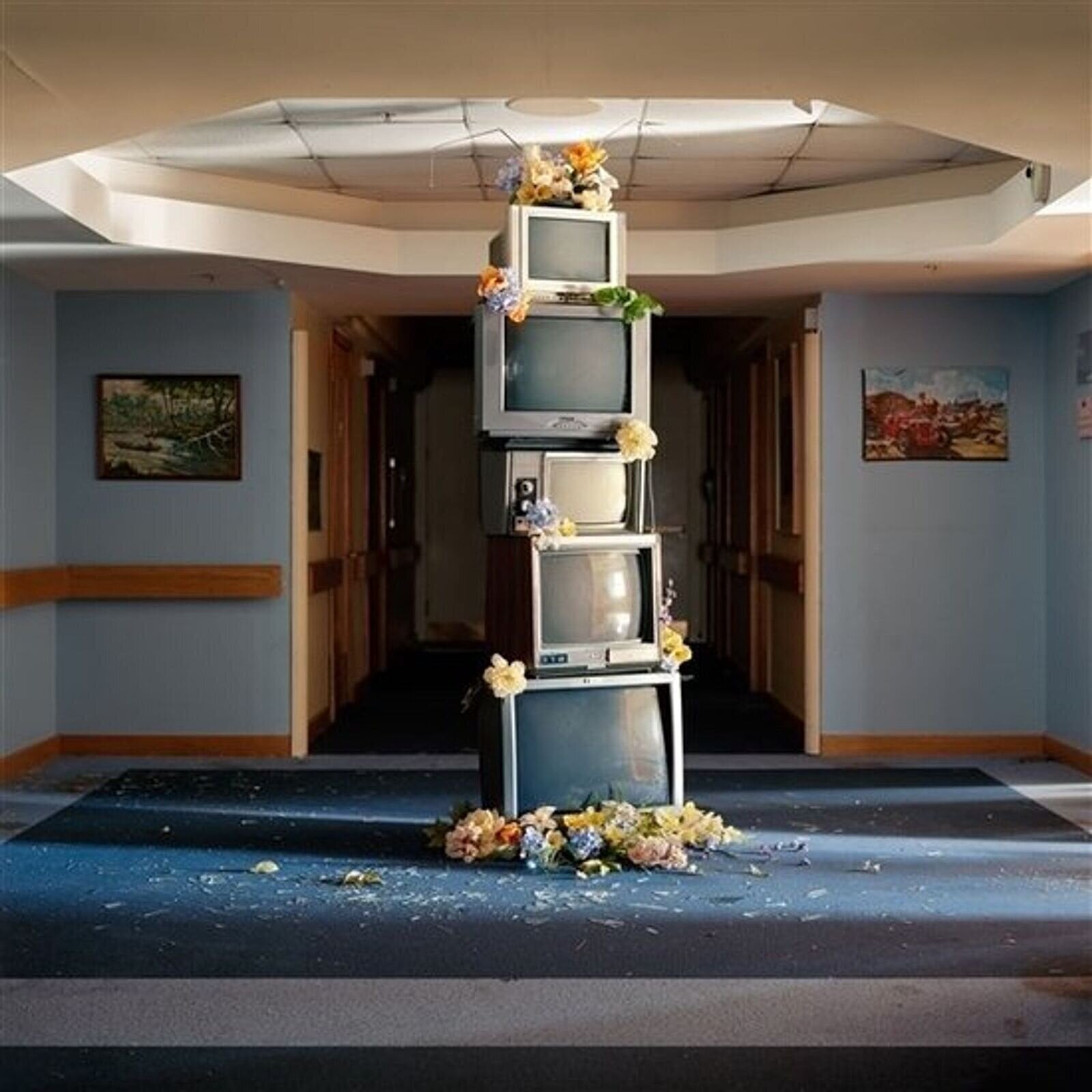 Disco de vinil Denude - A Murmuration Of Capitalist Bees (Limited Edition) (LP)