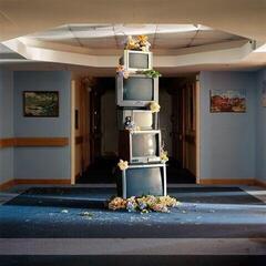 Disco de vinil Denude - A Murmuration Of Capitalist Bees (Limited Edition) (LP)