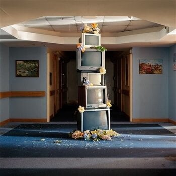 Disco de vinil Denude - A Murmuration Of Capitalist Bees (Limited Edition) (LP) - 1