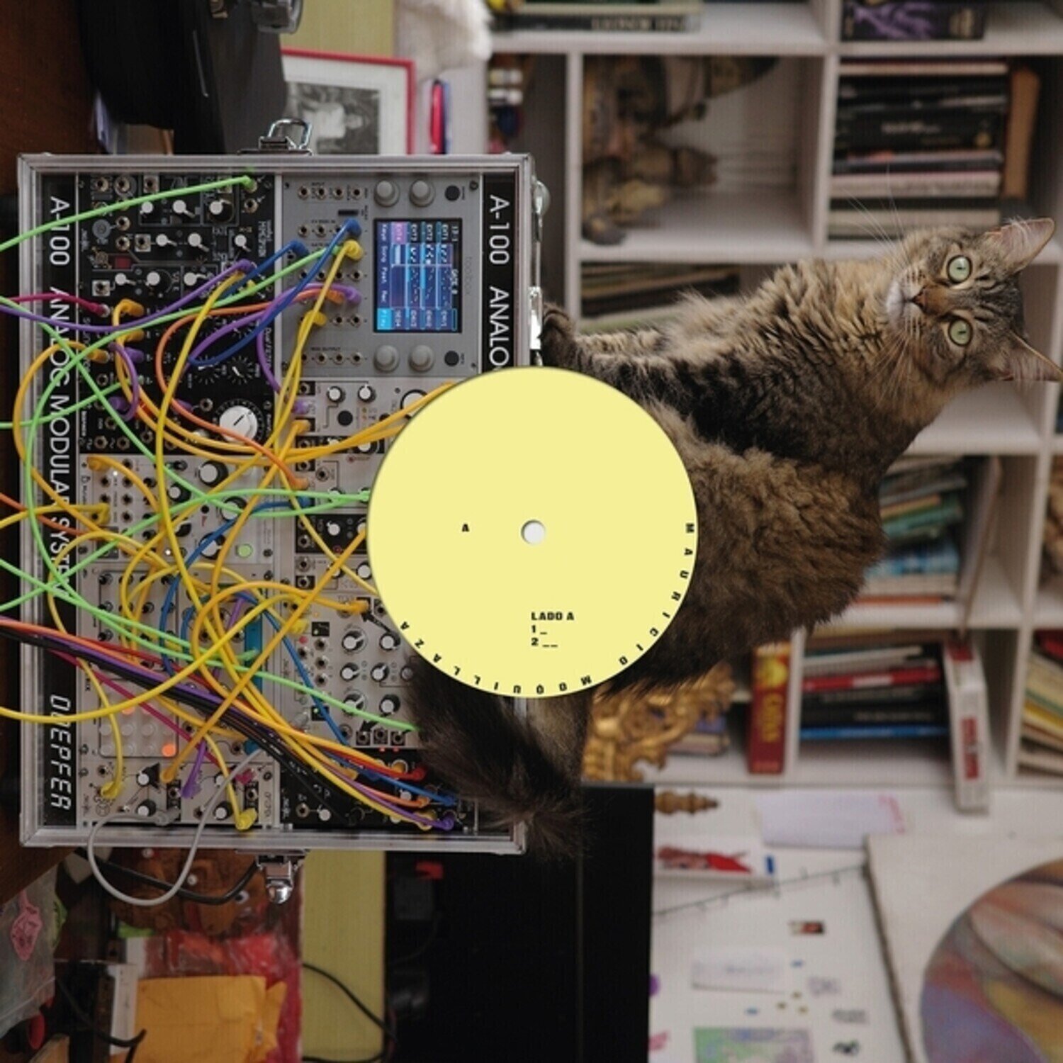 Vinyl Record Mauricio Moquillaza - Mauricio Moquillaza (LP)