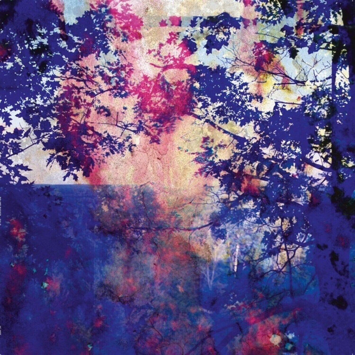 Vinyl Record Roland Bucher - Viaje (LP)