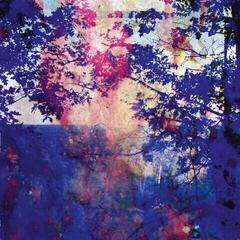 Vinyl Record Roland Bucher - Viaje (LP)