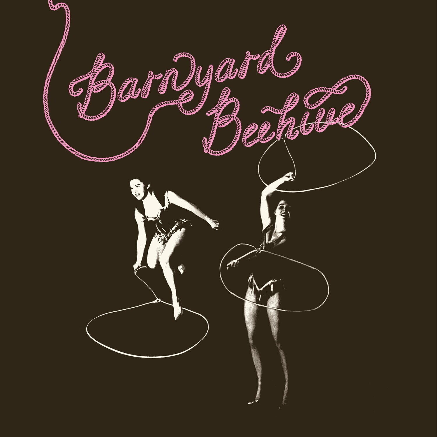 Disc de vinil Various Artists - Barnyard Beehive (Clear Pink Coloured) (LP)