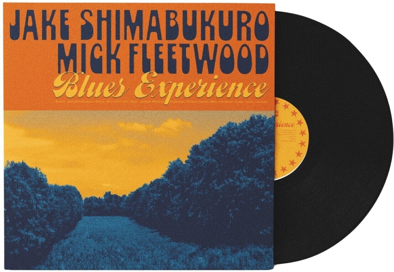 LP ploča Jake Shimabukuro & Mick Fleetwood - Blues Experience (LP)