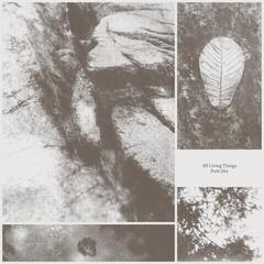 Disco in vinile Park Jiha - All Living Things (LP)