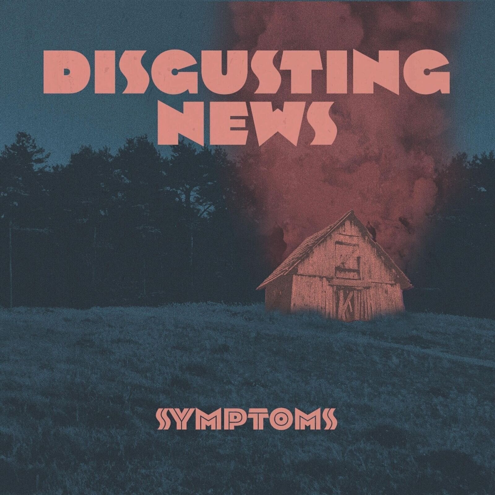 Vinyl Record Disgusting News - Symptoms (LP)