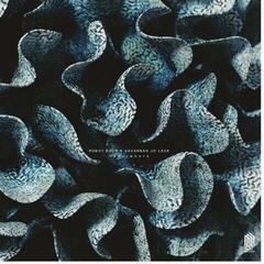 Disque vinyle Robot Koch & Savannah Jo Lack - Otherwhere (EP)