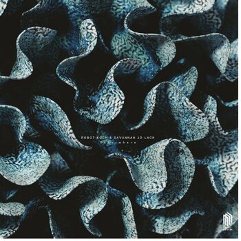 Disque vinyle Robot Koch & Savannah Jo Lack - Otherwhere (EP) - 1