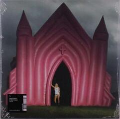 Vinyl Record S10 - Mijn Haren Ruiken Naar Vuur (Stien Den Hollander) (LP)