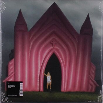 LP deska S10 - Mijn Haren Ruiken Naar Vuur (Stien Den Hollander) (LP) - 1