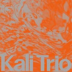 Vinyl Record Kali - The Playful Abstract (LP)