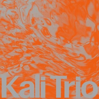 Vinyl Record Kali - The Playful Abstract (LP) - 1