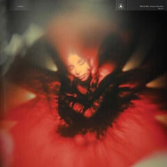 Vinyl Record Spellling - Portrait Of My Heart (LP)