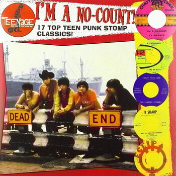 LP ploča Various Artists - I'm A No-Count (LP) - 1