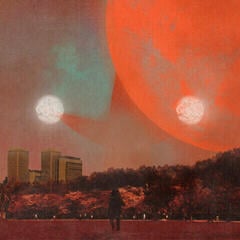 Disque vinyle Erika Dohi - I, Castorpollux (LP)