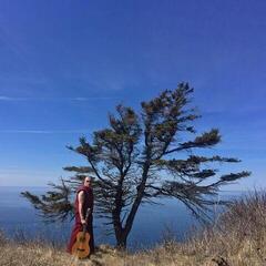 Vinyl Record David Morris - Monastic Love Songs (LP)