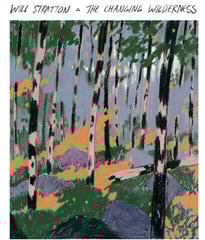 LP deska Will Stratton - The Changing Wilderness (Limited Edition) (Light Blue Coloured) (LP)