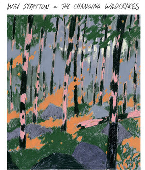 LP deska Will Stratton - The Changing Wilderness (Limited Edition) (Light Blue Coloured) (LP) - 1