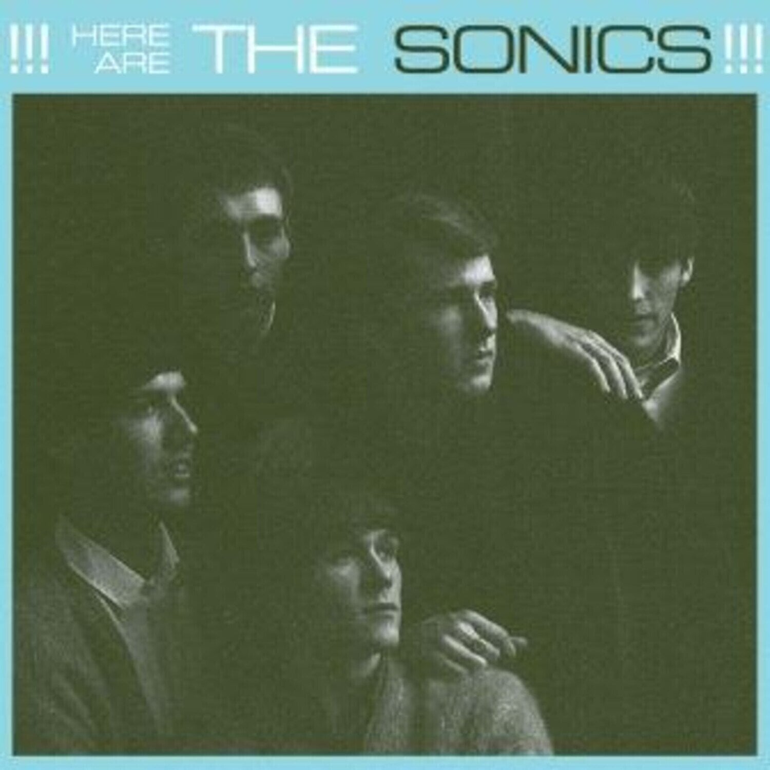 Vinyl Record The Sonics - Here Are The Sonics!!! (Reissue) (LP)