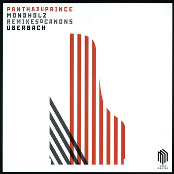 Vinyl Record Pantha Du Prince - Mondholz : Remixes & Canons (10") - 1