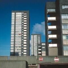 Vinyl Record Basic Rhythm - Electronic Labyrinth (LP)