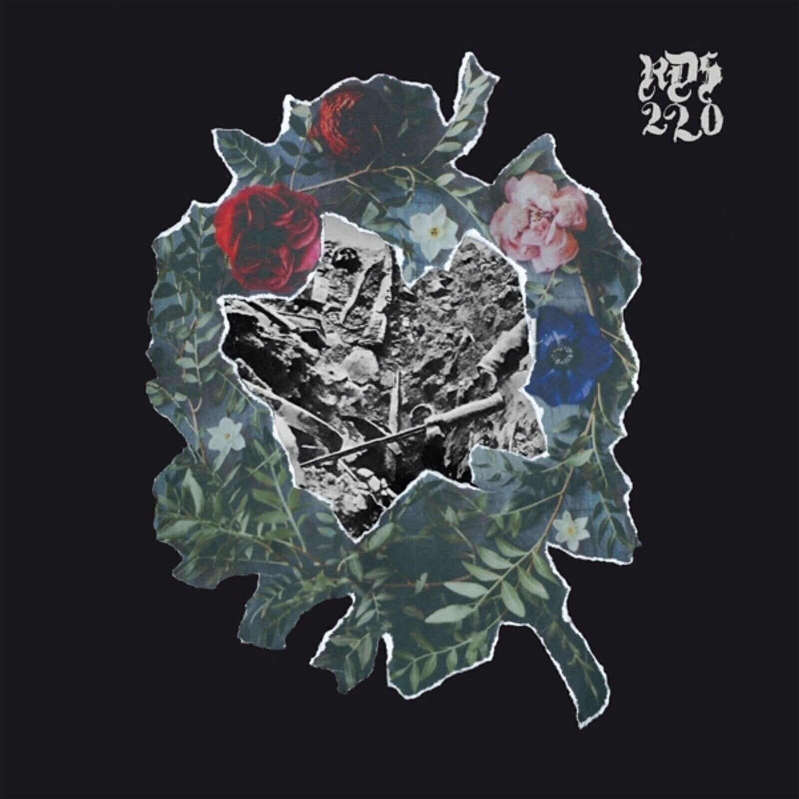 Vinyl Record Rds-220 - Hell Is Truth Seen Too Late (LP)