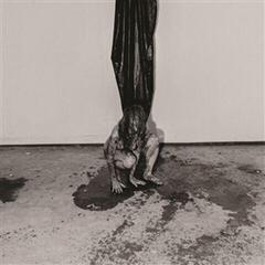 Vinyl Record Hide - Interior Terror (Limited Edition) (Ash Coloured) (LP)