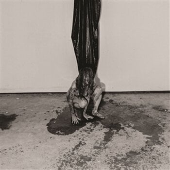 Vinyl Record Hide - Interior Terror (Limited Edition) (Ash Coloured) (LP) - 1