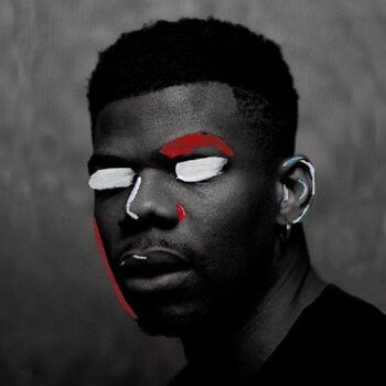 Vinyl Record Pote - A Tenuous Tale Of Her (LP) - 1