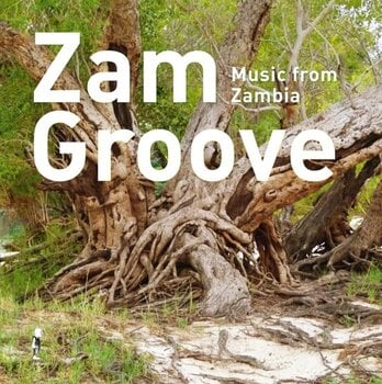 Δίσκος LP Various Artists - Zam Groove: Music from Zambia (LP) - 1