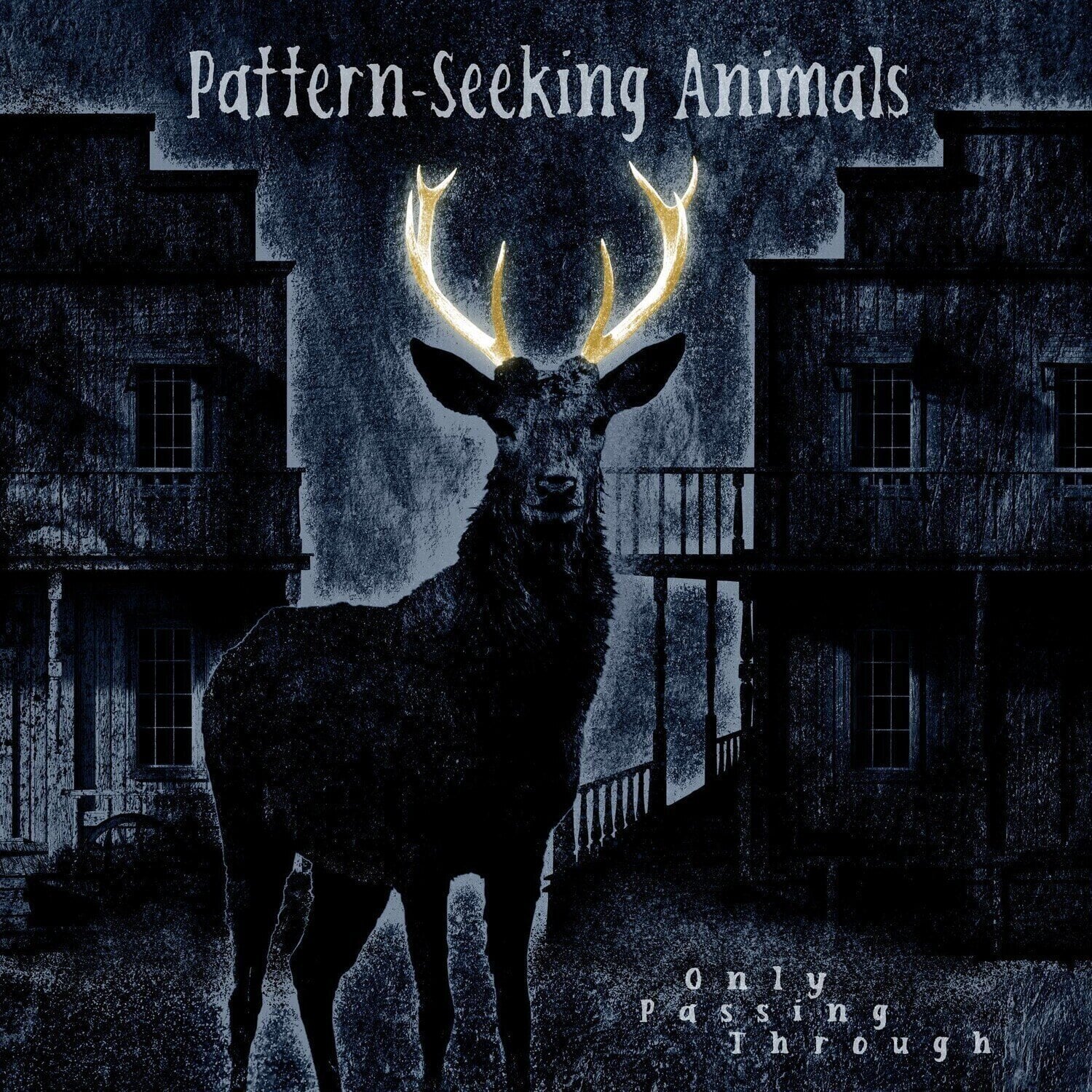 LP deska Pattern-Seeking Animals - Only Passing Through (2 LP + CD)
